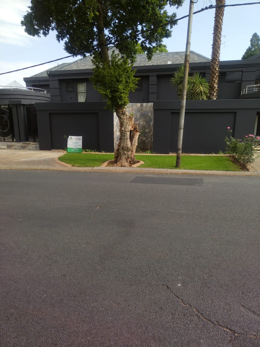 ZIYAAD HOUSE